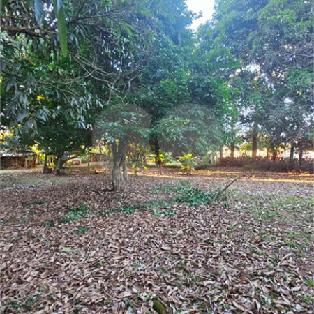 Terreno à venda em Jardim dos Estados, Ponta Porã, MS