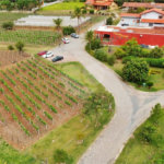 Terreno à venda em Marambaia, Vinhedo, SP