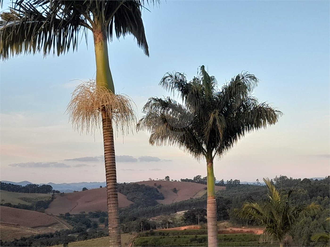 Linda chácara em Pinhalzinho