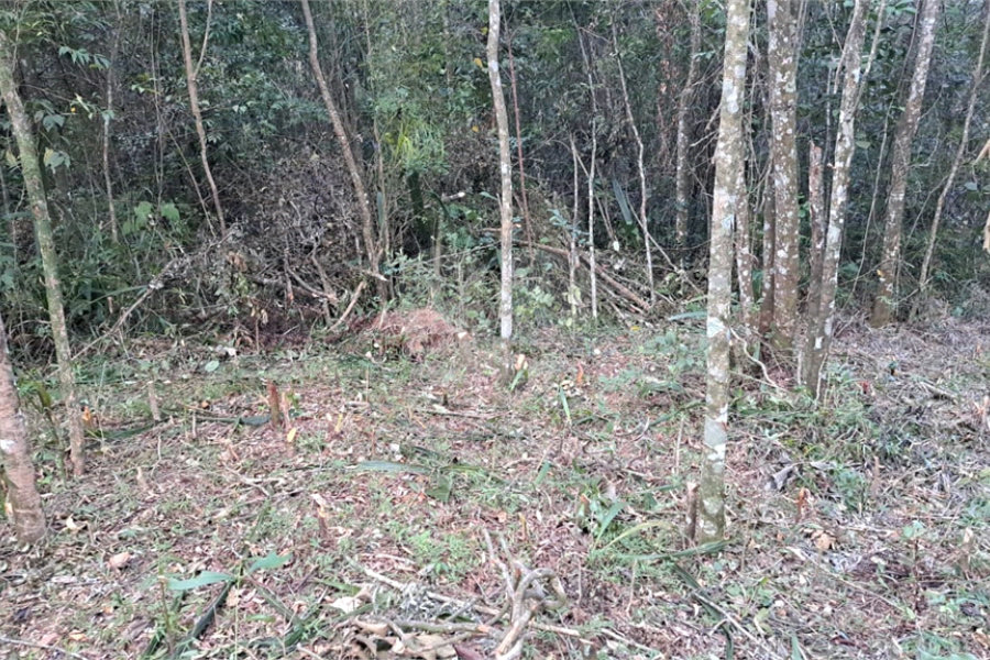 Terreno à venda em Serra da Cantareira, Mairiporã, SP