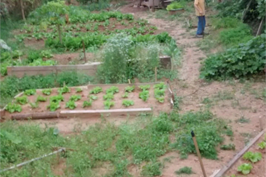 Terreno à venda em Horto, São Paulo, SP