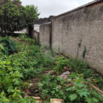Terreno à venda com 1 suíte em Vila Constança, São Paulo, SP