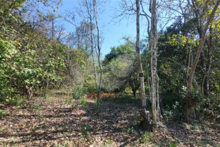 Sítio à venda com 3 quartos, sendo 1 suíte,  em Da Barra, Salto de Pirapora, SP