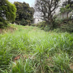 Terreno à venda em Santa Teresinha, São Paulo, SP