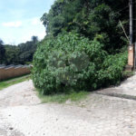 Terreno à venda em Serra da Cantareira, Mairiporã, SP