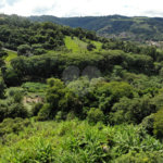 Sítio à venda com 3 quartos, sendo 1 suíte, em Bairro do Cambará, São Roque, SP