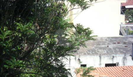 Terreno à venda em Horto Florestal, São Paulo, SP