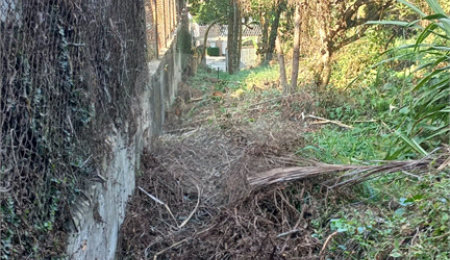 Terreno à venda em Vila Tramontano, São Paulo, SP