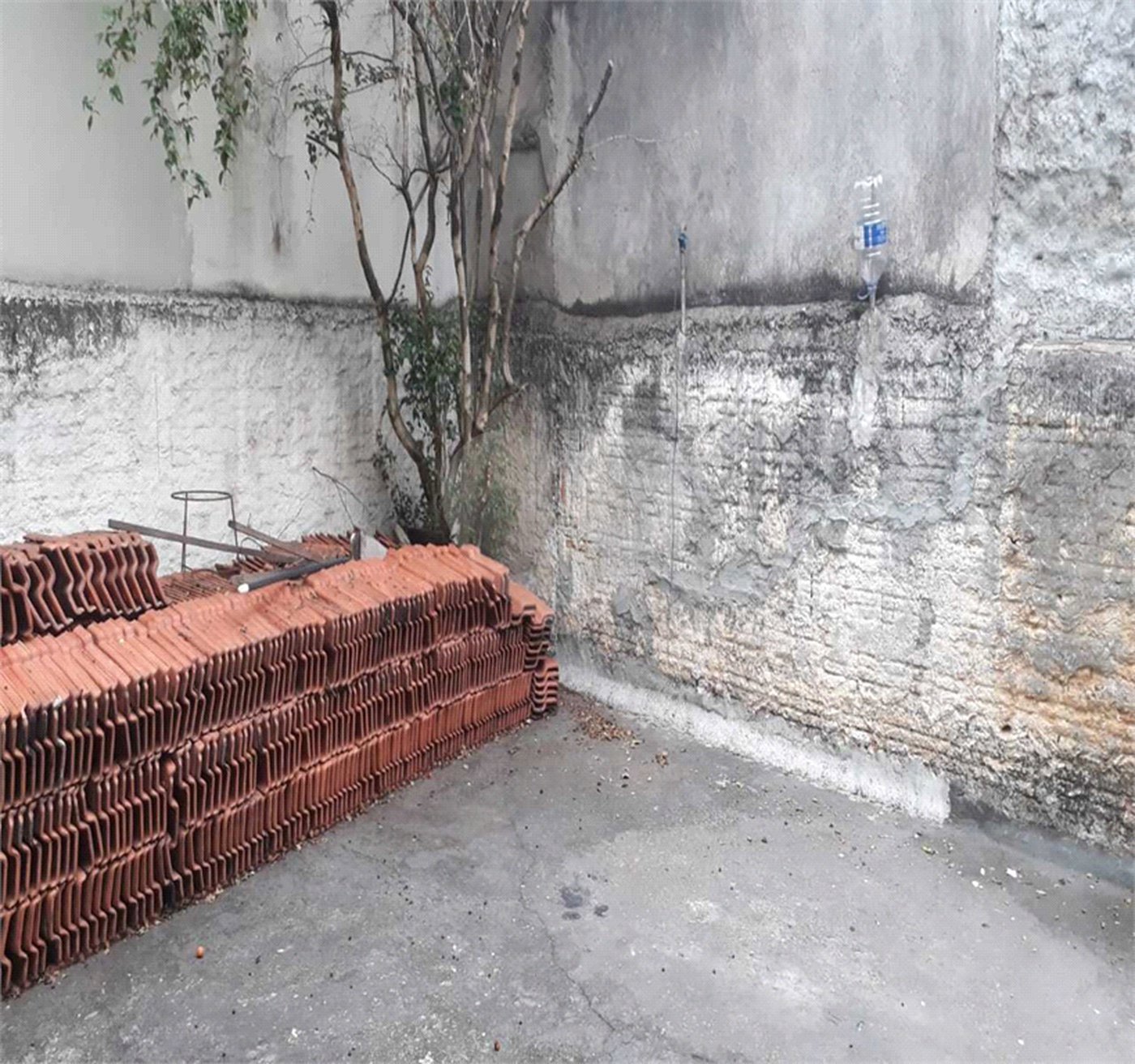 Casa de Vila para alugar com 1 quarto em Vila Nova Cachoeirinha, São Paulo, SP