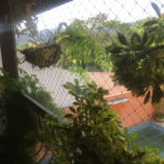Sobrado à venda com 4 quartos, sendo 3 suítes, em Jardim Virginia Bianca, São Paulo, SP