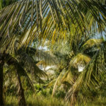 Área de Terra à venda com 1 suíte em Campo Grande, Rio de Janeiro, RJ