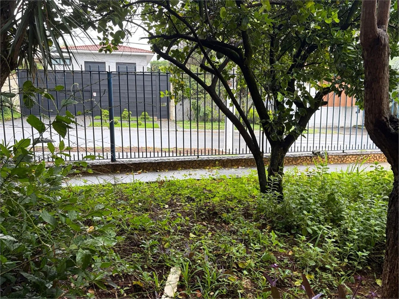 Casa à venda com 3 quartos em Bela Aliança, São Paulo, SP