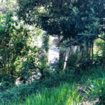 Terreno à venda em Bairro do Cambará, São Roque, SP