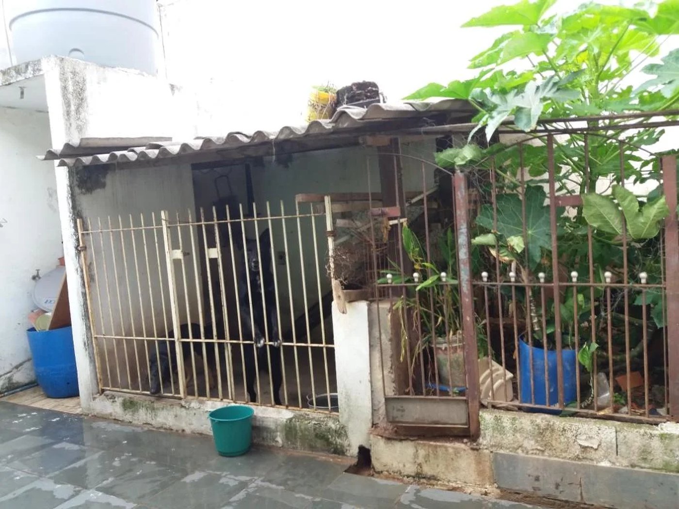 Sobrado à venda com 3 quartos, sendo 1 suíte, em Jardim Maria Duarte, São Paulo, SP