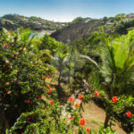 Casa à venda com 4 suítes em Albatroz, Armação dos Búzios, RJ
