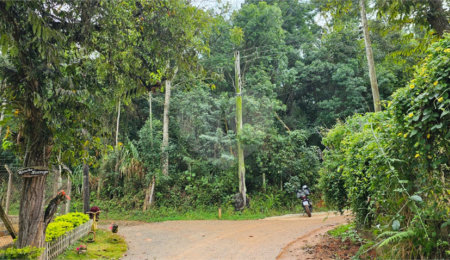 Terreno à venda em Pavão (canguera), São Roque, SP