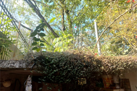 Casa à venda com 3 quartos, sendo 2 suítes, em Morumbi, São Paulo, SP