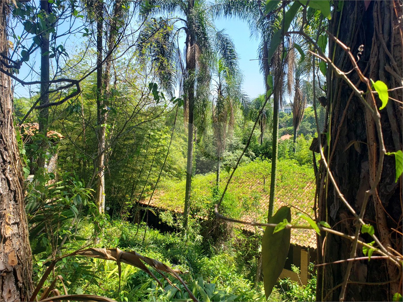 Terreno à venda em Morumbi, São Paulo, SP