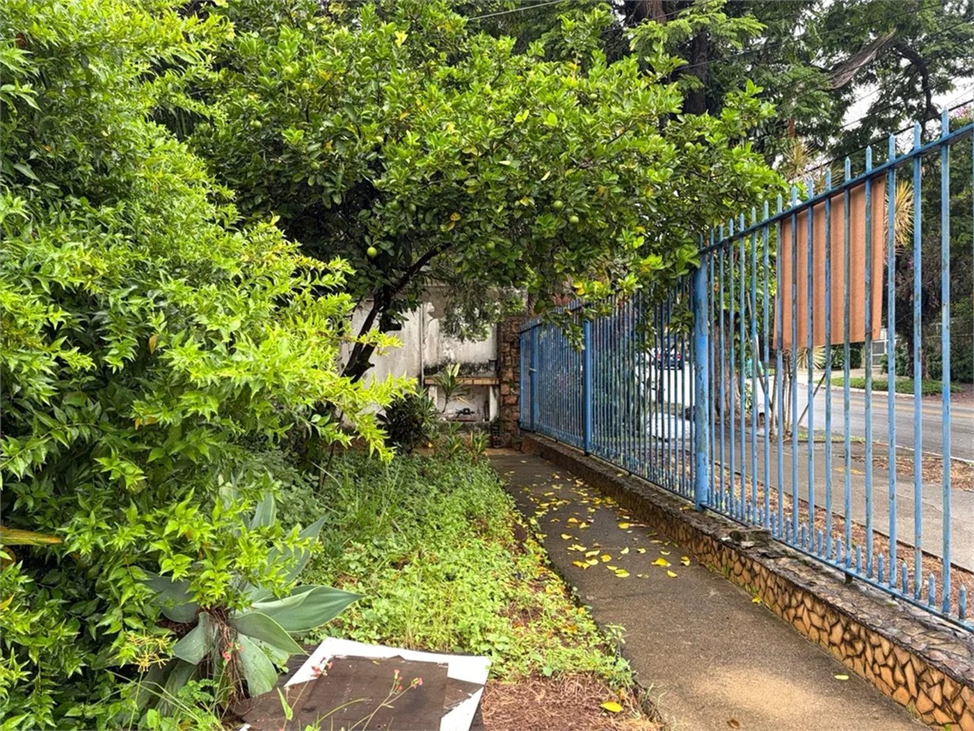 Casa à venda com 3 quartos em Bela Aliança, São Paulo, SP