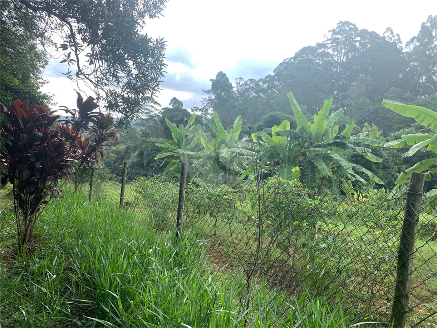 Chácara à venda em Sorocamirim (canguera), São Roque, SP
