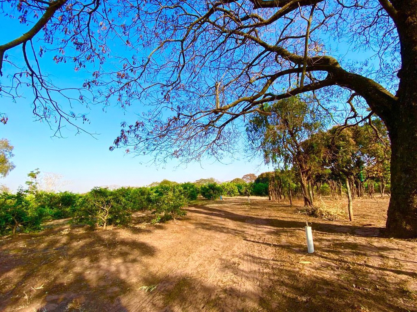 Sítio na cidade de Taiuva-SP.