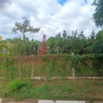 Casa em condomínio à venda com 3 quartos, sendo 1 suíte, em Residencial Ecopark, Tatuí, SP
