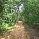 Terreno à venda no condomínio Golden Park Residence, Sorocaba - SP