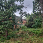 Terreno à venda ou para alugar em Horto, São Paulo, SP