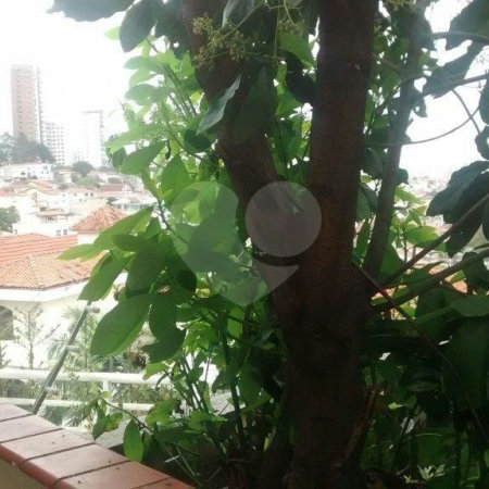 Sobrado à venda com 2 quartos em Jardim Franca, São Paulo, SP