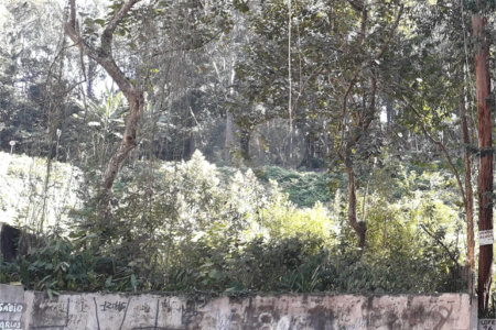 Terreno à venda em Vila Andrade, São Paulo, SP