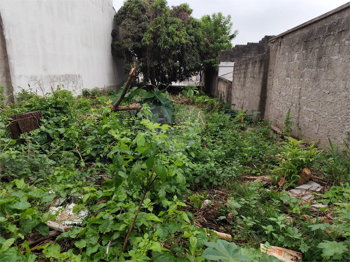 Terreno à venda com 1 suíte em Vila Constança, São Paulo, SP