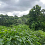 Terreno à venda em Parque dos Cafezais III, Itupeva, SP