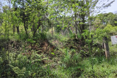 Chácara à venda com 2 quartos em Vila Caputera, Mogi das Cruzes, SP