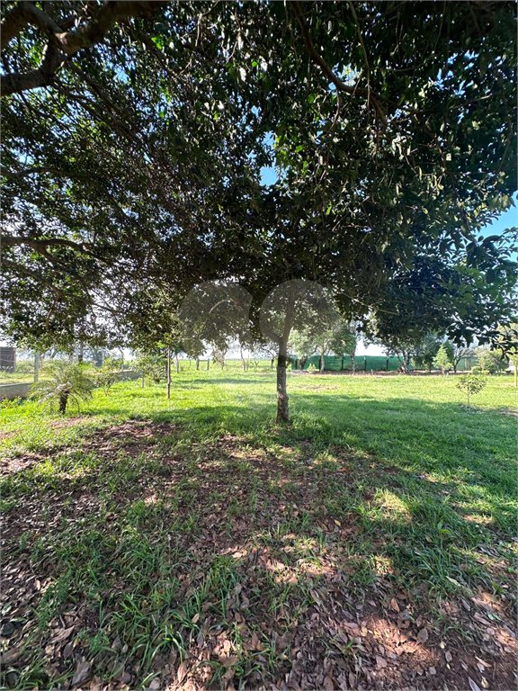 Chácara à venda em Jardim Universitário, Ponta Porã, MS