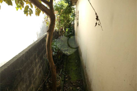 Casa à venda com 3 quartos em Vila Granada, São Paulo, SP