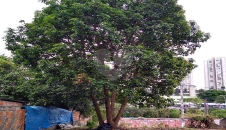 Terreno à venda em Jardim Cambara, São Paulo, SP
