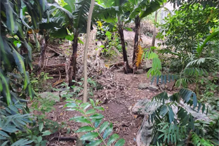 Loteamento à venda em Jardim Amália, São Paulo, SP