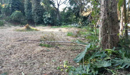 Terreno à venda com 1 suíte em Alto da Boa Vista, São Paulo, SP