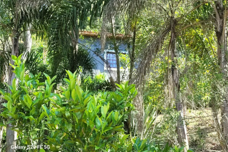 Sítio à venda com 3 quartos em Vila Darcy Penteado (mailasqui), São Roque, SP