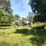 Terreno à venda em Campestre, Piracicaba, SP