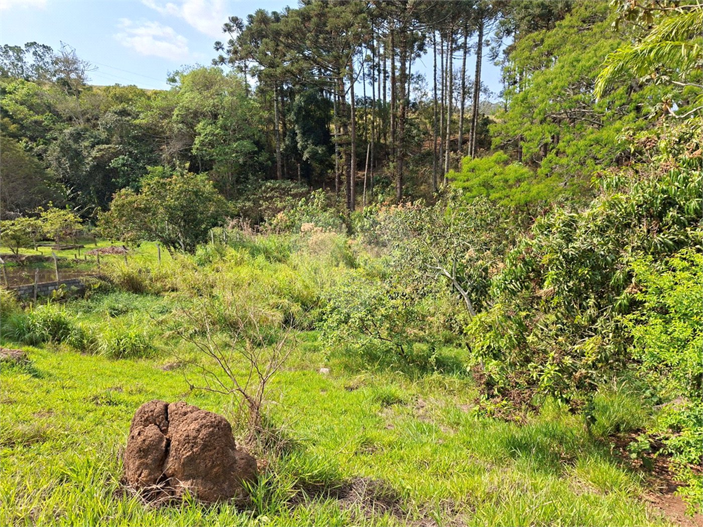 Terreno à venda em Chácara Fernão Dias, Bragança Paulista, SP