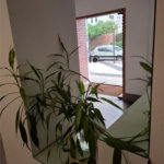 Apartamento à venda com 4 quartos, sendo 2 suítes, em Brooklin Paulista, São Paulo, SP