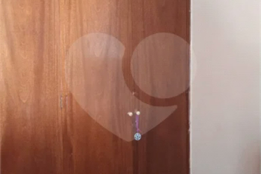 Sobrado à venda com 2 quartos em Vila Guilherme, São Paulo, SP