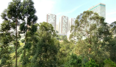 Apartamento à venda com 2 quartos, sendo 1 suíte,  em Jardim Caboré, São Paulo, SP