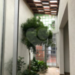 Casa à venda com 4 quartos, sendo 1 suíte,  em Jardim Rosa Maria, São Paulo, SP