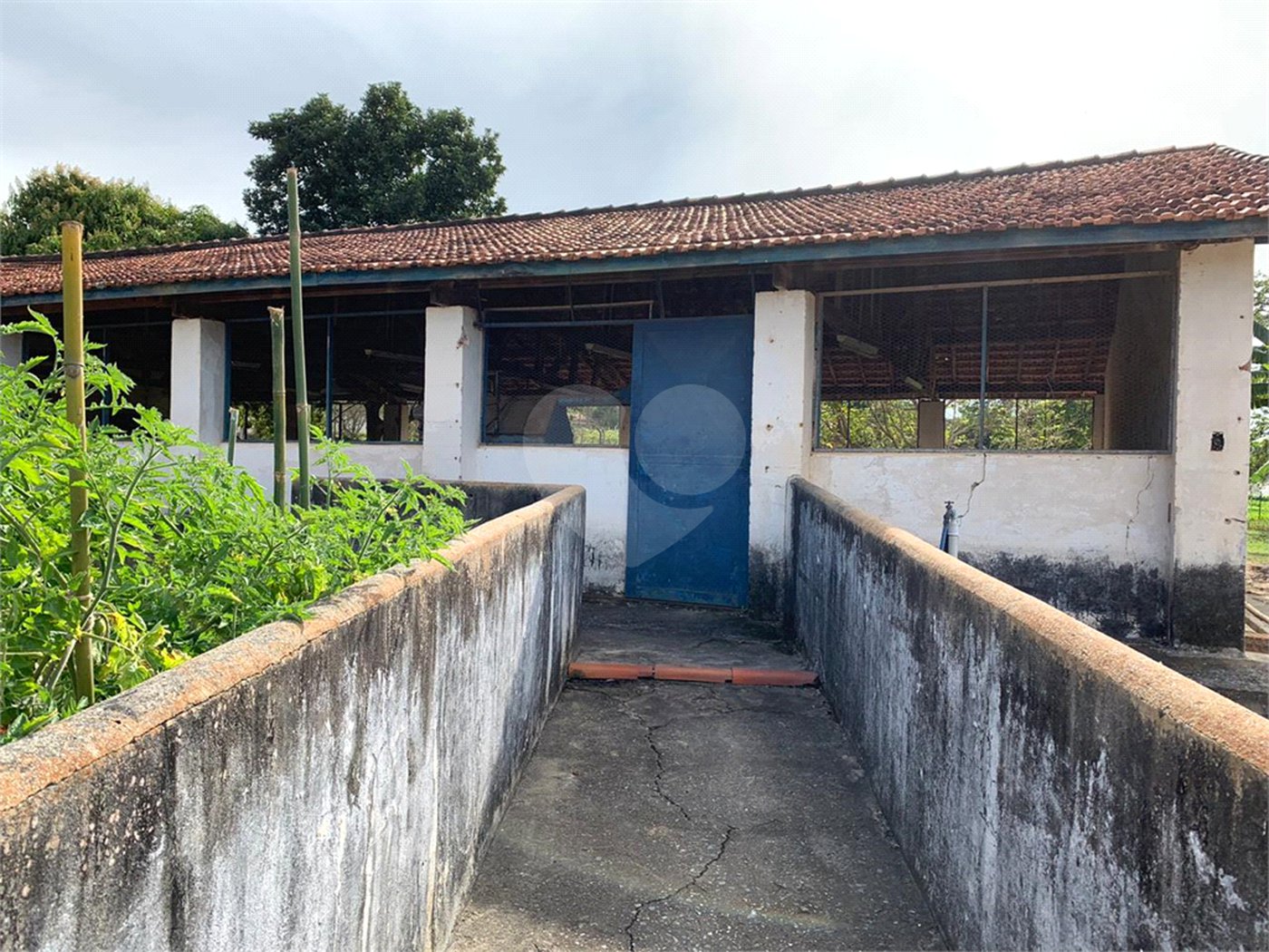 Sítio à venda ou para alugar com 3 suítes em Parque Residencial Indaiá, Indaiatuba, SP