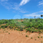Terreno à venda no condomínio Estäncia Parque de Atibaia, Atibaia - SP
