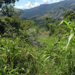 Terreno à venda em Luiz Fagundes, Mairiporã, SP