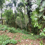 Terreno à venda no condomínio Sausalito, Mairiporã - SP