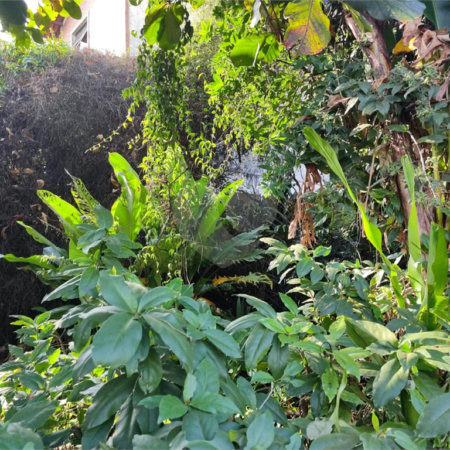 Terreno à venda em Tucuruvi, São Paulo, SP